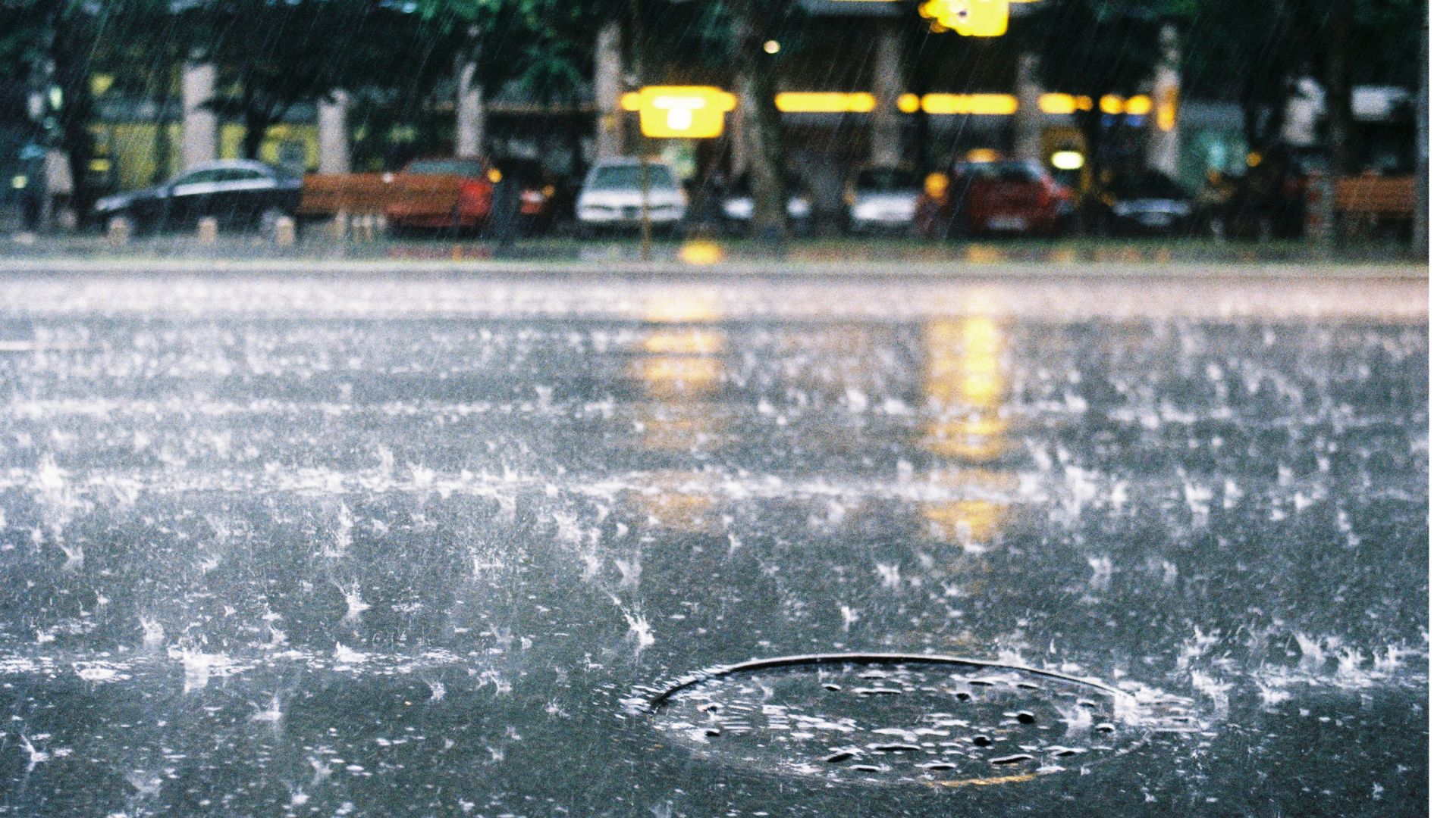 Mapping 120 years of rainfall shifts across southern India’s cities